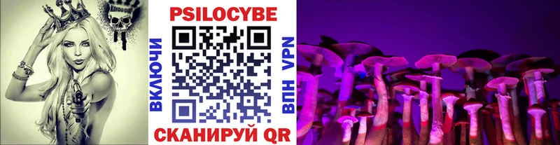 MEGA зеркало  купить наркотики сайты  Темников  Псилоцибиновые грибы прущие грибы 
